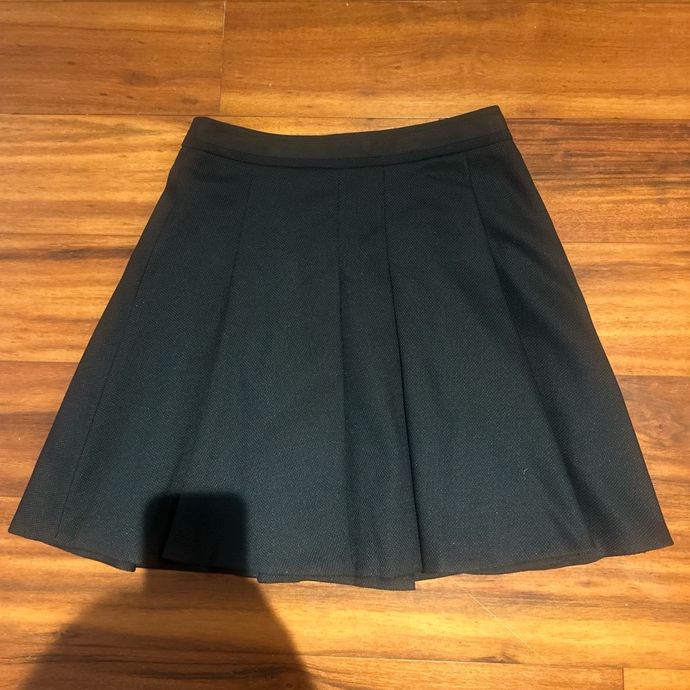 The Limited Pleated Circle Skirt